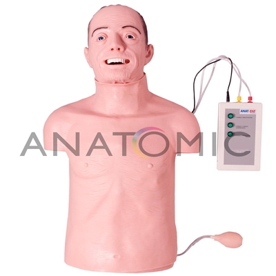 Simulador, Torso Geriátrico para Treino de RCP e Intubação
