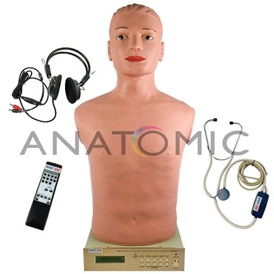 Simulador Avançado, Torso, para Habilidades Médicas de Ausculta Cardiopulmonar, com controle Remoto