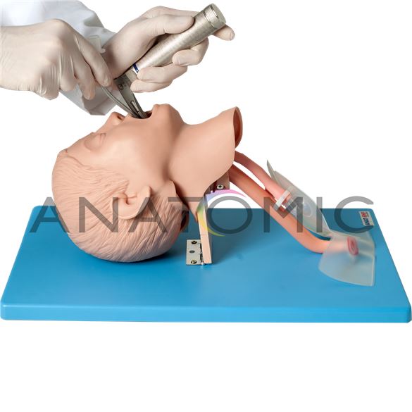 Simulador Infantil, para Treino de Intubação Traqueal