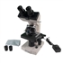 Microscópio Biológico Binocular com Ampliação de 40x até 1600x (opcional até 2000X), Iluminação LED