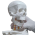 Esqueleto de 85cm