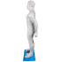Modelo de Acupuntura de 85 cm, Masculino