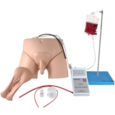 Simulador de Cateterismo Vesical e Lavagem Intestinal, Bissexual, com Dispositivo de Controle - TGD-4008-S